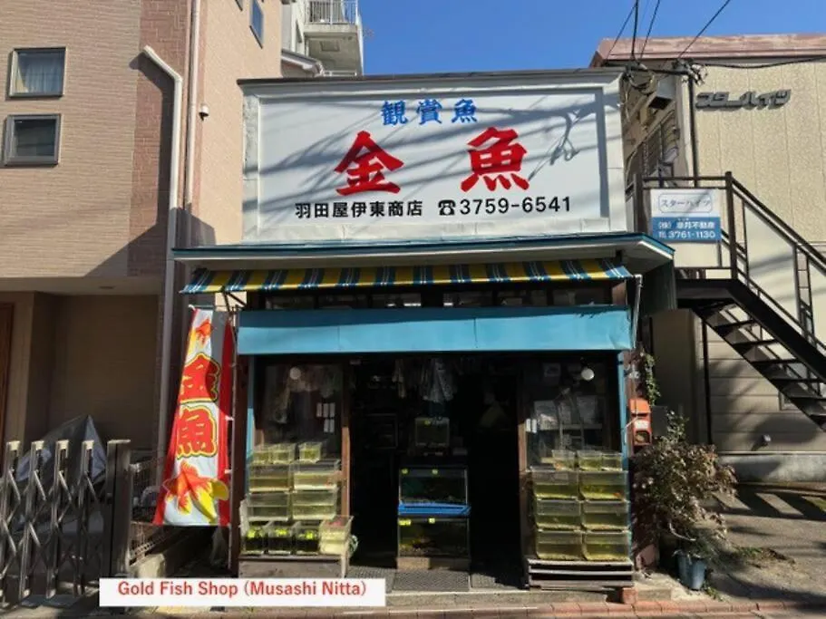 Apartmán ノール下丸子 202