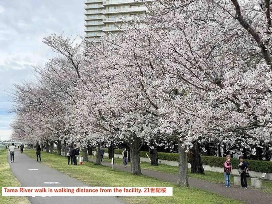 ノール下丸子 202 0*, Tokyo